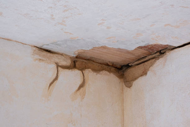 Best Mold removal after water damage  in Madill, OK
