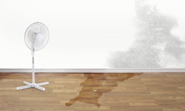 Best 24/7 water damage repair  in Madill, OK