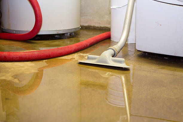 Best Water damage contractors near me  in Madill, OK