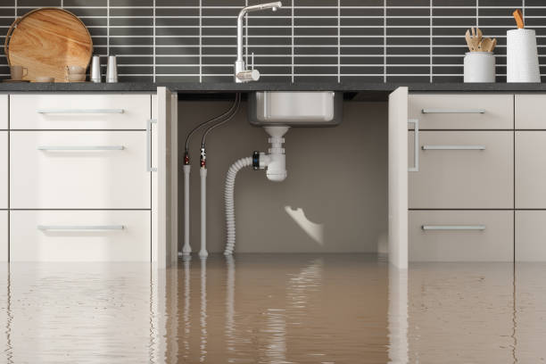Best Carpet water damage restoration  in Madill, OK