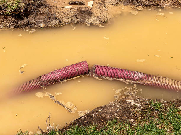 Best Flood restoration services  in Madill, OK